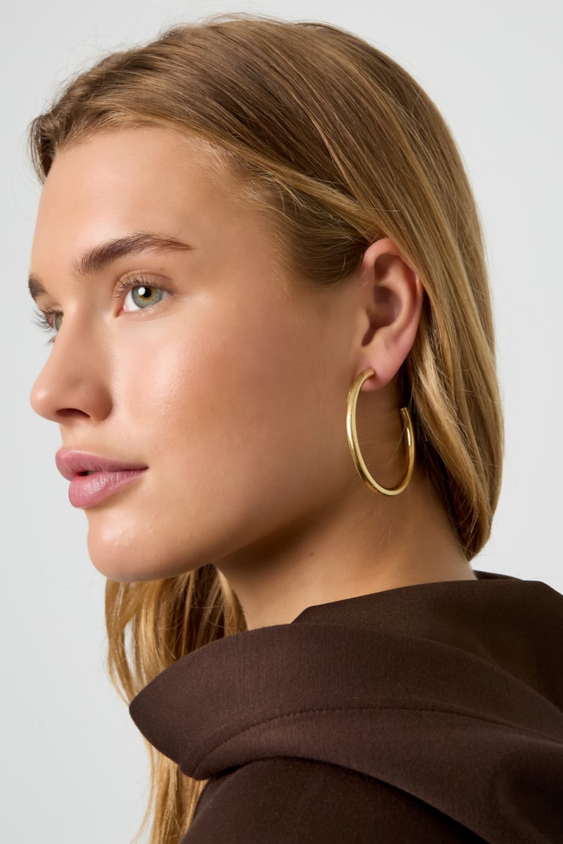 Hoop Earrings circle Casual Daily Simple Series Women's jewelry