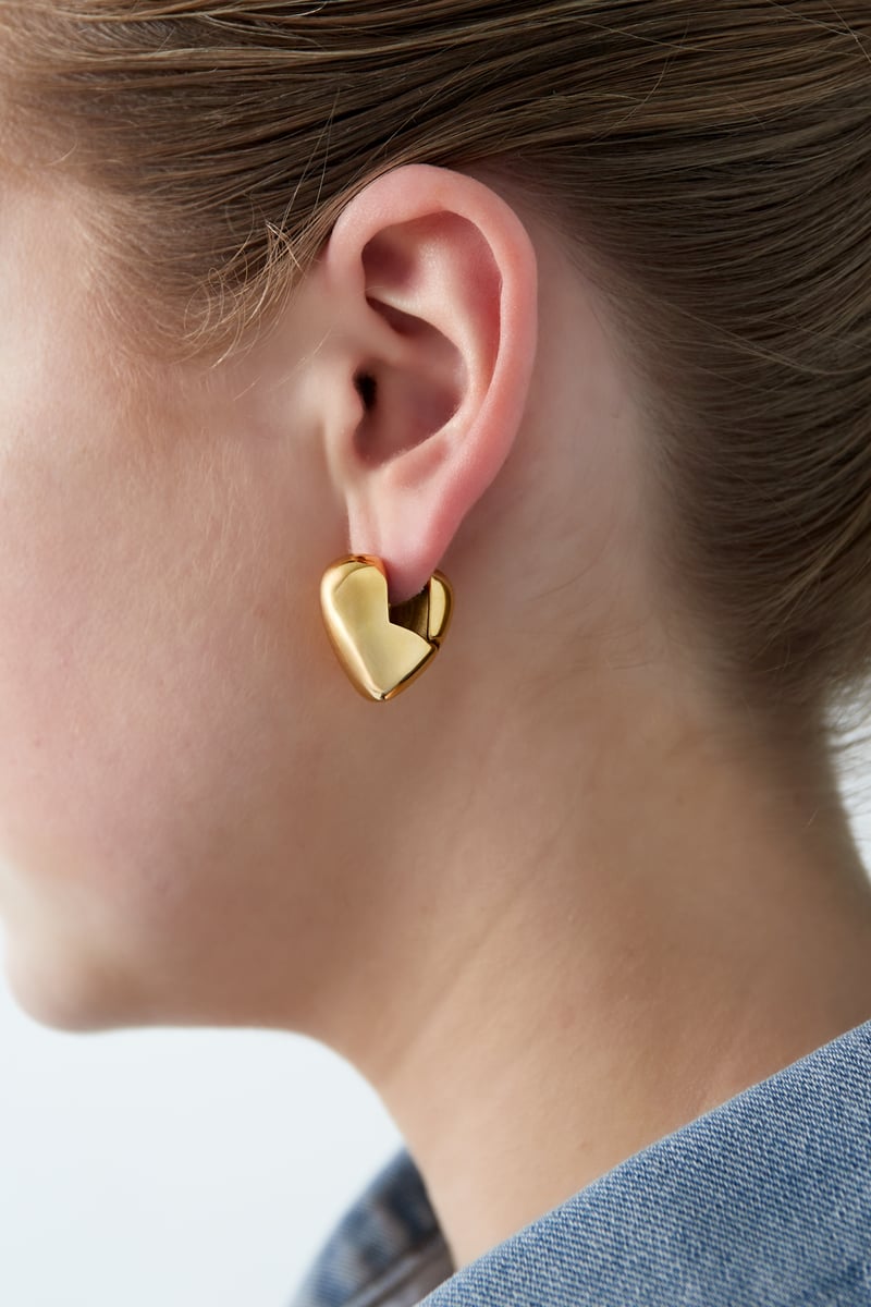 Heart earrings