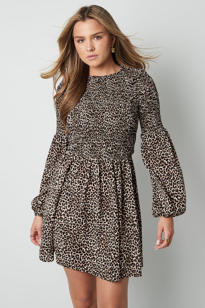 Leopard Mini Dress
