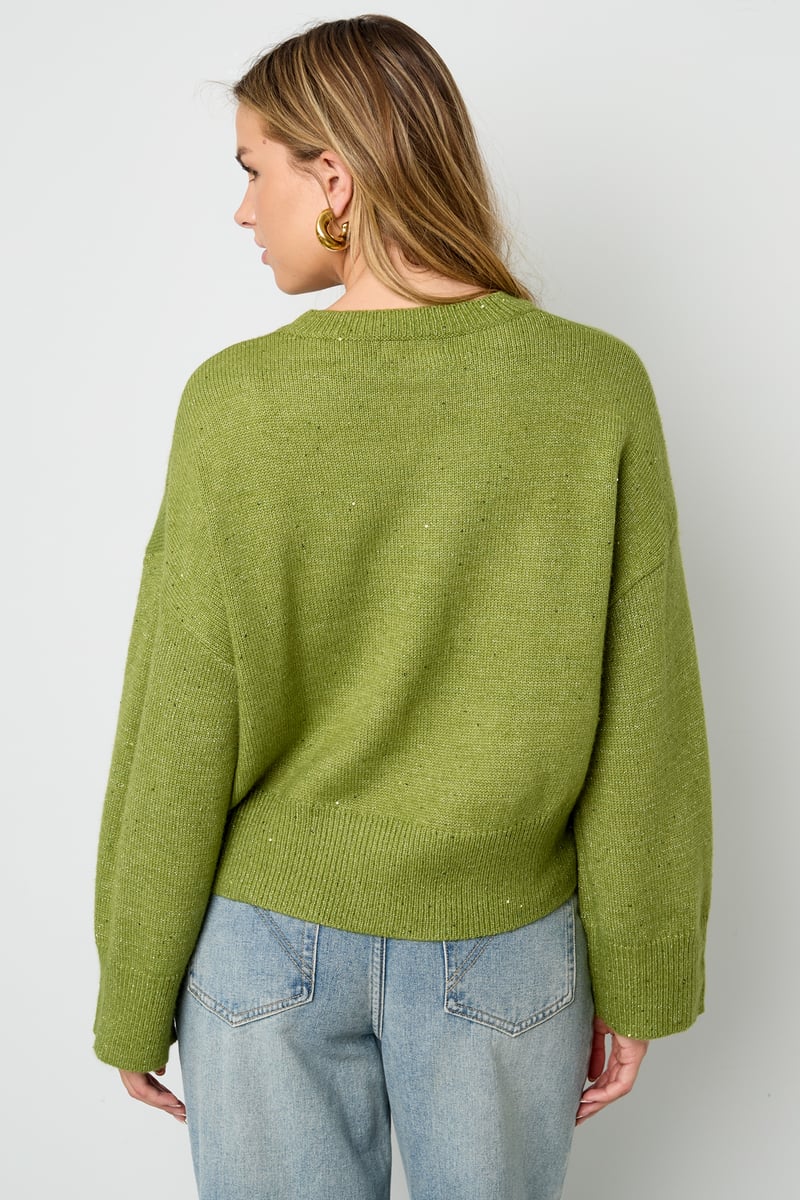 Sparkling Knit sweater
