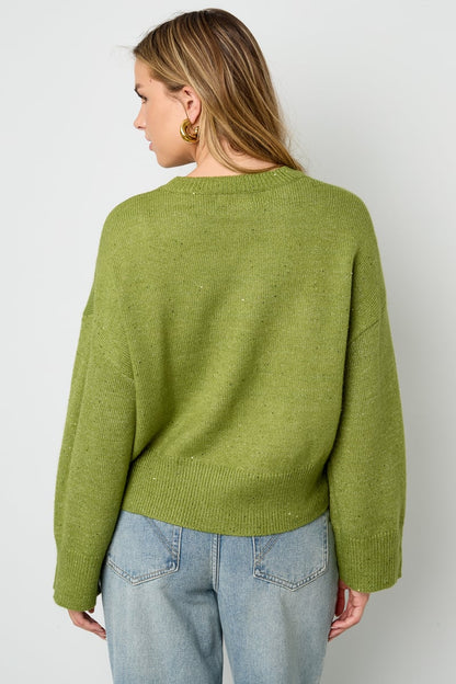 Sparkling Knit sweater