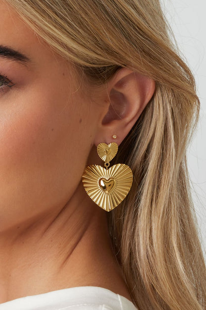 Stainless Steel Drop Earrings Heart Casual Daily Simple Series Women's jewelry