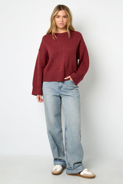 Sparkling Knit sweater